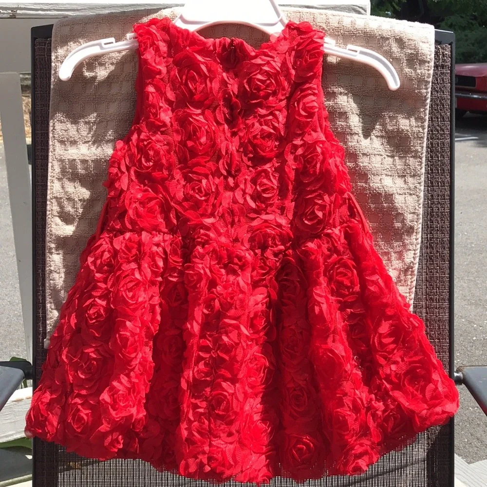 Aile Rabbit - Picture 2 of 2